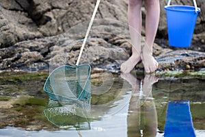 Close Up Of Child Fishing In Rockpool With Net photo