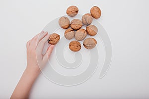 close up, child hand with many walnuts isolated on white background,