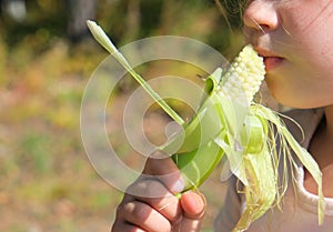 Close up child  holding cob of corn on farm in field, outdoors