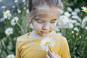Close up of child portrait of cute little girl in yellow shirt holding and looking at chamomile in her hand