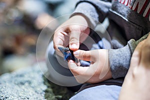 Close up on Child's hands holding sea star