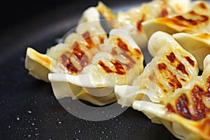 Close up of Chinese fried dumplings on a frying pan.