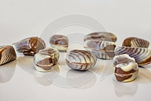 Close up of chocolate candy seafood. White and chocolate chocolate, soft defoic in depth.
