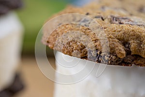 Close up of chocolate chip cookie ice cream sandwich