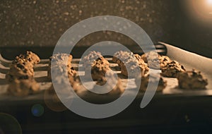 Close up Chocolate chips cookies on a baking tray in oven,filtered image ,selective focus, flare added, light effect added