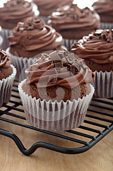 Close up of chocolate cupcakes with chocolate frosting