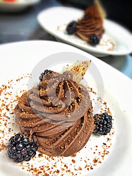 A close-up of a chocolate mousse dessert with blackberries surrounding it.