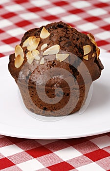 Close-up of chocolate muffin
