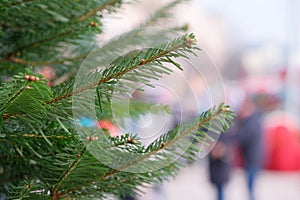 Close-up of a Christmas decorated tree photo