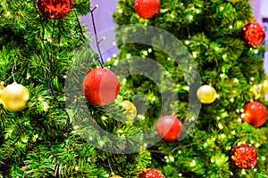 Close up of Christmas tree decorated with red and gold ball with boken