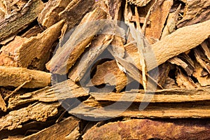 Close up of cinnamon sticks cortex macro