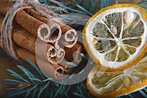 Close-up cinnamon sticks tied and dried lemon slices, branch of a blue fir tree, selective focus, macro