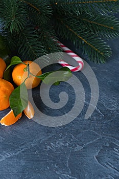 Close-up citrus. Bright ripe tangerines with green leaves on dar