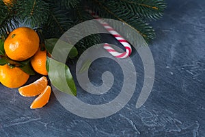 Close-up citrus. Bright ripe tangerines with green leaves on dar