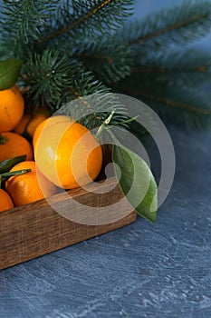 Close-up citrus. Bright ripe tangerines with green leaves in a w