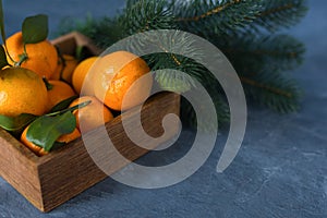 Close-up citrus. Bright ripe tangerines with green leaves in a w