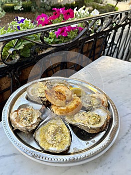 Chargrilled Oysters photo