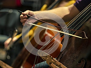Close-up on classical string instruments - Double bass - Side view - Depth of field