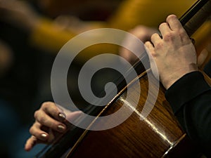Close-up on classical string instruments - Double bass - Side view - Depth of field