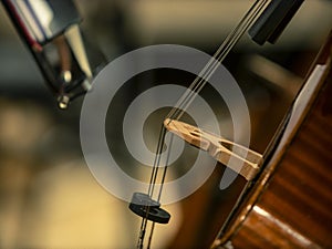 Close-up on classical string instruments - Double bass - Side view - Depth of field