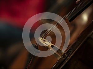Close-up on classical string instruments - Double bass - Side view - Depth of field