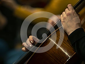 Close-up on classical string instruments - Double bass - Side view - Depth of field