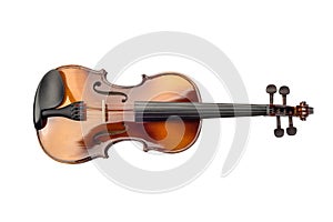 Close-up classical violin isolated on white background.