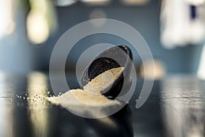 Close up of clay bowl on wooden surface full of Poppy seeds or khus or opium poppy or breadseed poppy.