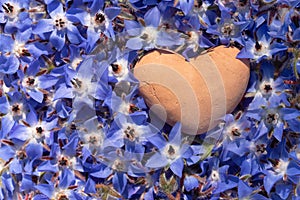 Close up of a clay heart lying on a bed of blue borage flowers