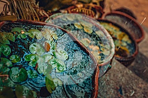 Close up of clay jug full of rain water