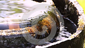 Close-up of clean water slowly flows out of the pipe.