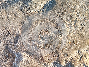 Close Up of Clear Sea Water During Low Tide Hours at the Beach