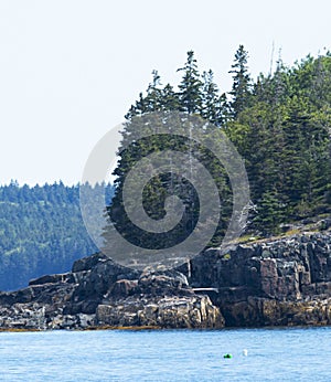 Close up of the coast of an Island in the waters of Bar Harbor Maine USA