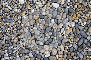 Close up of coastal stone surface