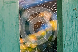 Close up cobweb on wooden fence photo