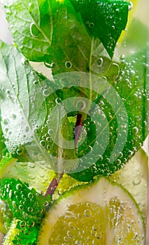 Close-up of cocktail with mint leaves and lime .