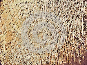 Close up of a coconut coir structure, shot on a coconut fiber tree, brown natural background. for consumption and environmental