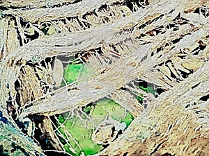 Close up of a coconut coir structure, shot on a coconut fiber tree, brown natural background. for consumption and environmental