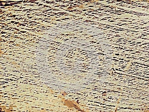 Close up of a coconut coir structure, shot on a coconut fiber tree, brown natural background. for consumption and environmental