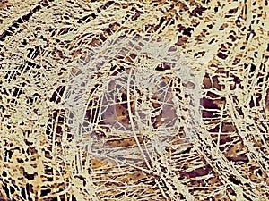 Close up of a coconut coir structure, shot on a coconut fiber tree, brown natural background. for consumption and environmental