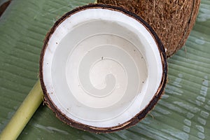 Close up of coconut on green background