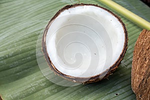 Close up of coconut on green background