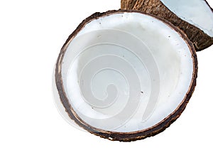 Close up of coconut on green background