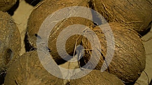 Close-up. Coconuts in a box