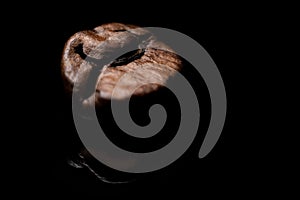 Close up of cofee beans on black background