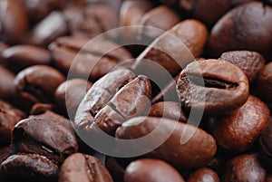 Close Up Coffee Bean