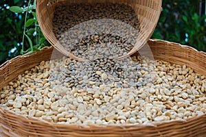 Close up of the coffee beans in the basket