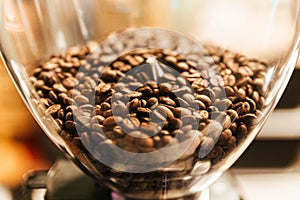 Close-up coffee beans inside Electric Coffee Grinder Grinding Machine. Coffee Mill Both Household And Business Machine