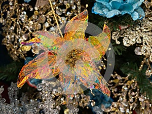 Close up of colored poinsettia flower on christmas tree