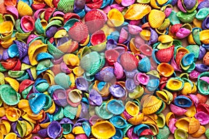 Close up of colored shells background texture